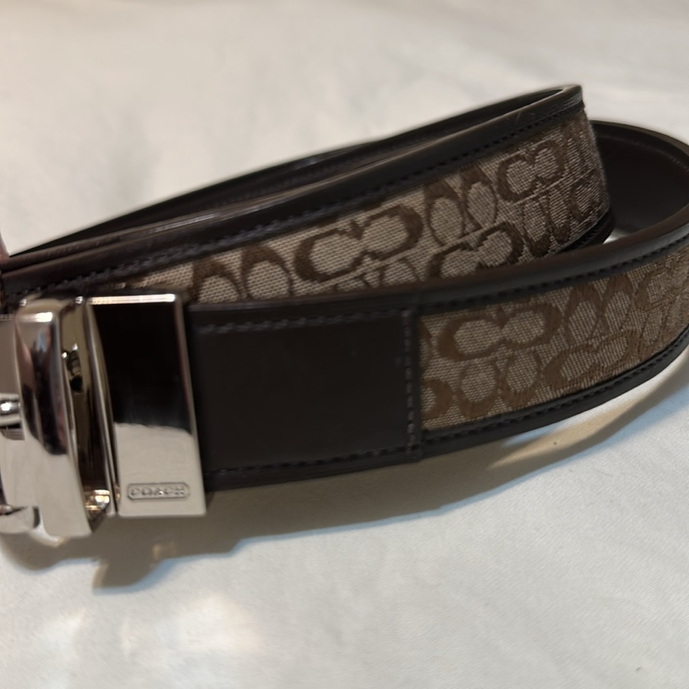 Coach belt
